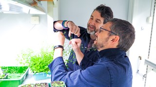 The researchers are standing in a narrow white room, with high shelfs of small, green plants in containers. They are holding the flower of on of the plants and studying it closely.