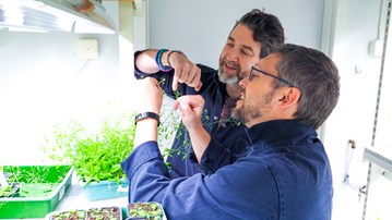 The researchers are standing in a narrow white room, with high shelfs of small, green plants in containers. They are holding the flower of on of the plants and studying it closely.