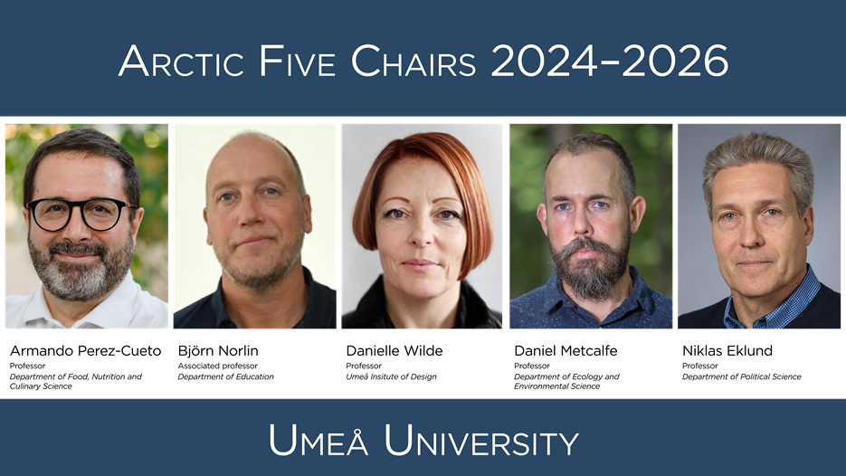 Umeå University's Arctic Five Chairs 2024-2026.
