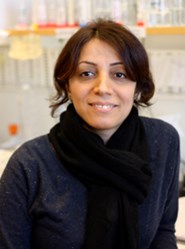 Staff photo Farahnaz Ranjbarian