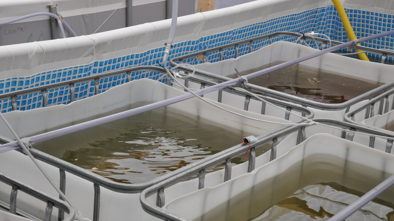 The Mesocosm Facility