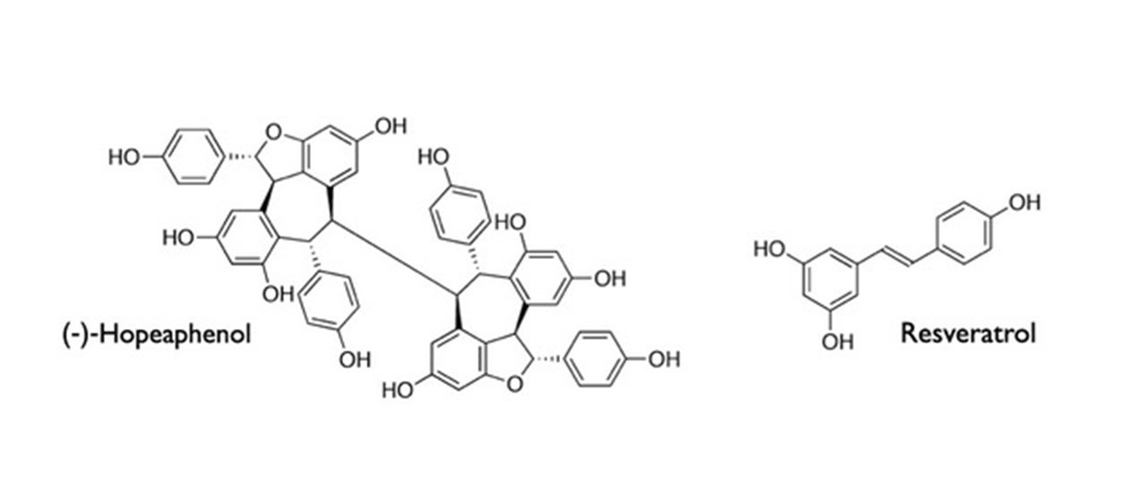 Bild på molekylstruktur