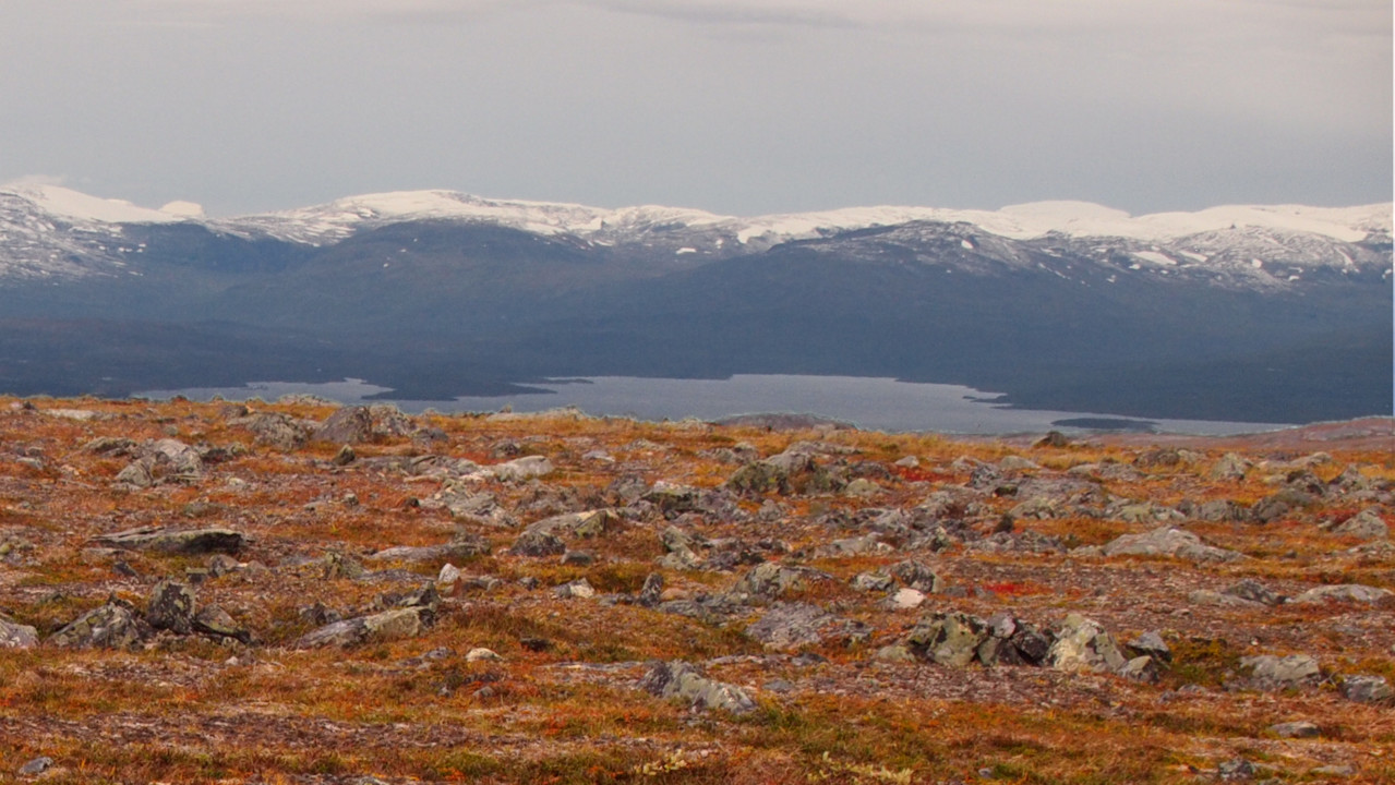 Alpine ecosystems under the microscope