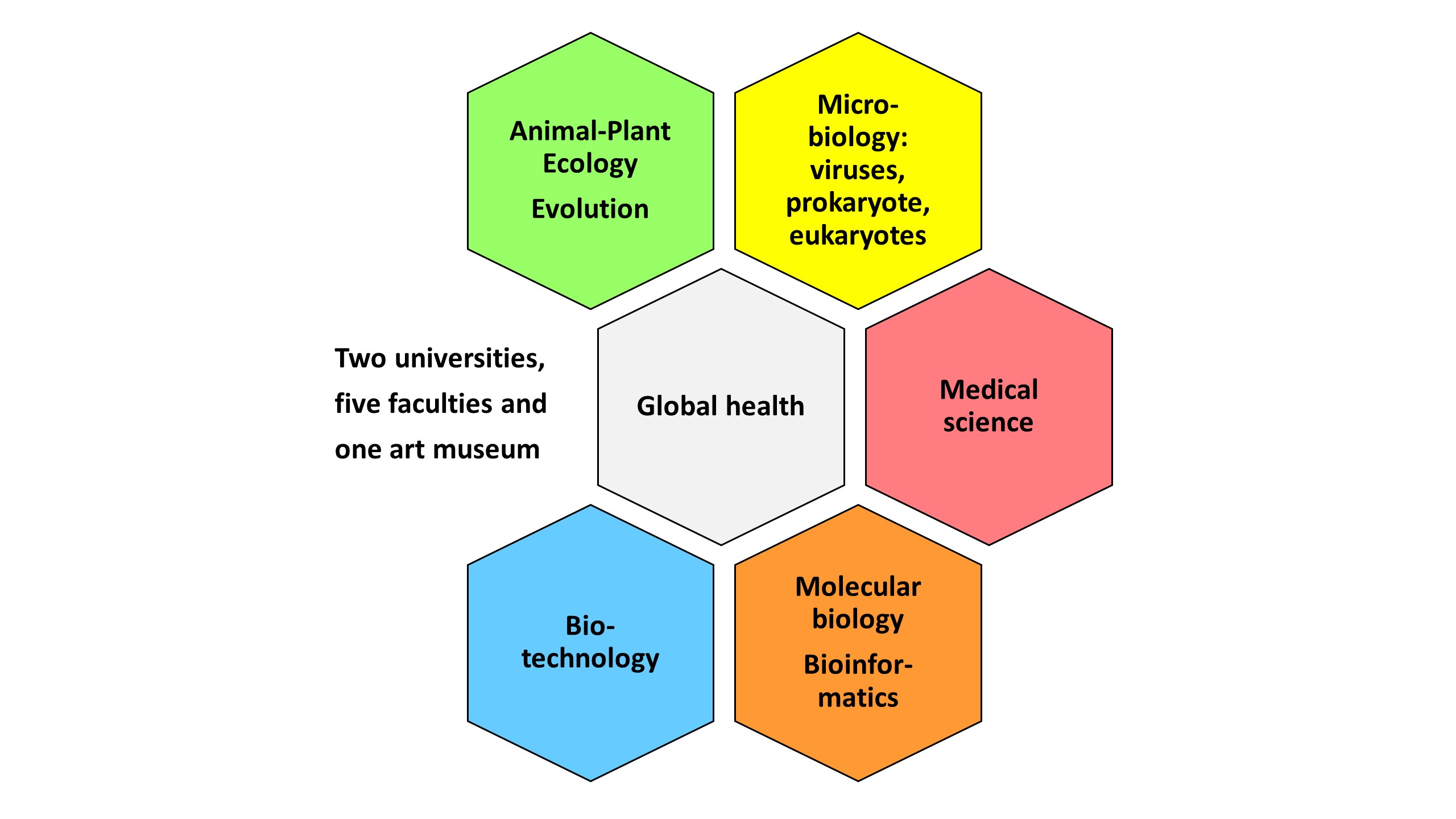 Arthropodum network graphics