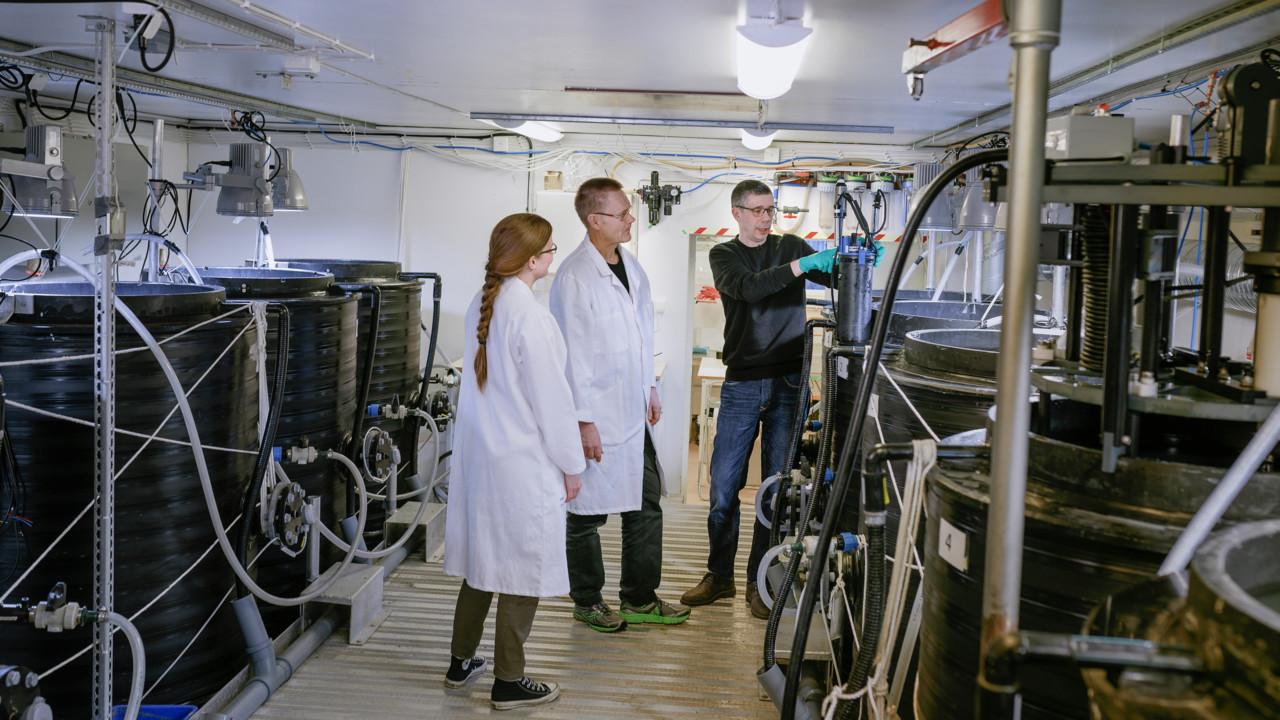 The Mesocosm Facility