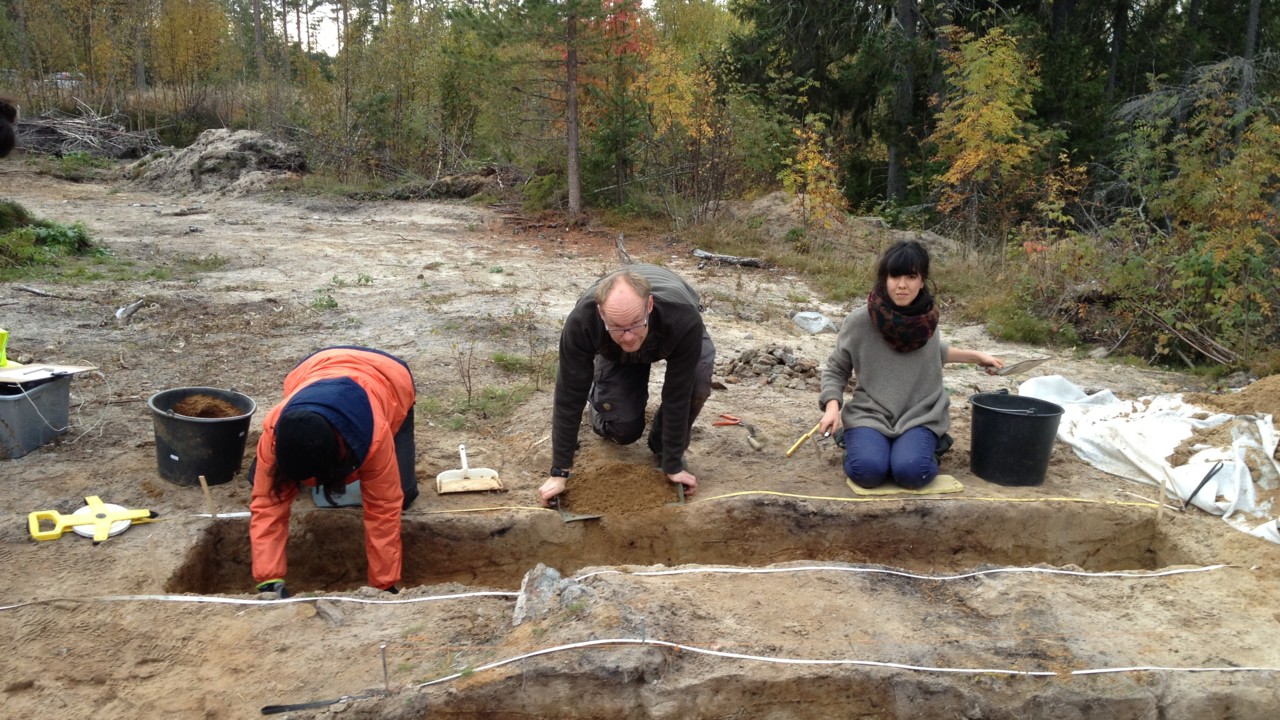 Archaeology And Environmental Archaeology