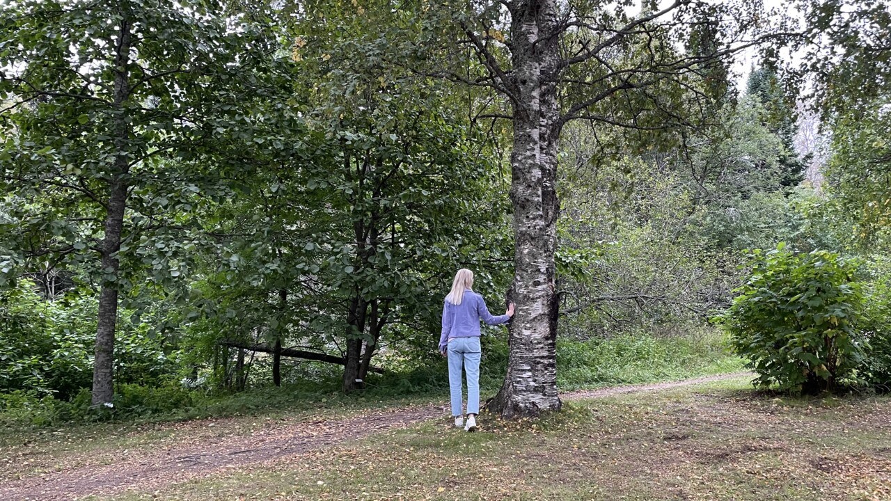 En station i programmet rörelserika campus, arboretum.