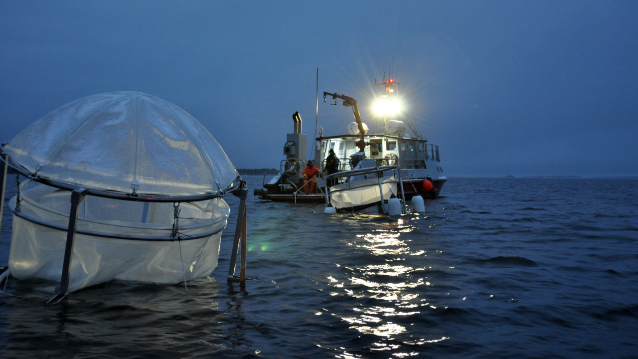 Umeå Marine Sciences Centre (UMF)