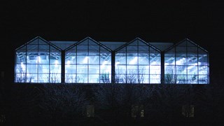 Länk till Umeå Plant Science Centre