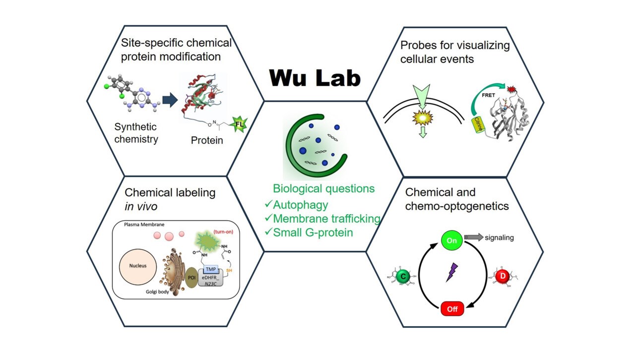 Yaowen Wu Lab concept