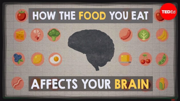 Video: How the food you eat affects your brain