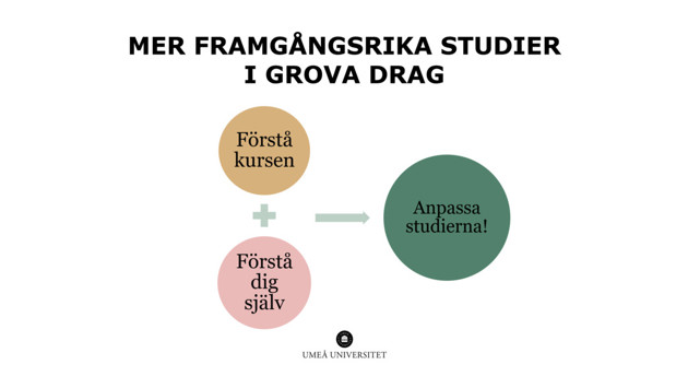 Video: Strategier för att studera mer framgångsrikt – introduktion