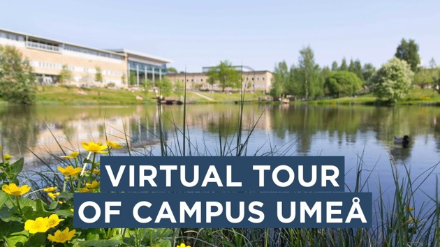 Video: A quick tour around Campus Umeå