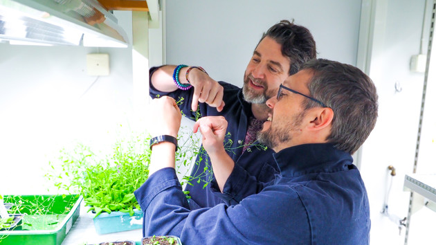 The researchers are standing in a narrow white room, with high shelfs of small, green plants in containers. They are holding the flower of on of the plants and studying it closely.