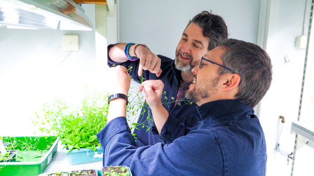 The researchers are standing in a narrow white room, with high shelfs of small, green plants in containers. They are holding the flower of on of the plants and studying it closely.