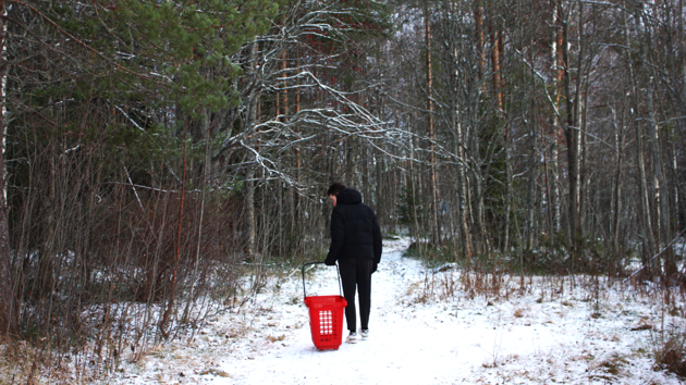 Using grocery shopping to connect people to nature and promote sustainable actions.