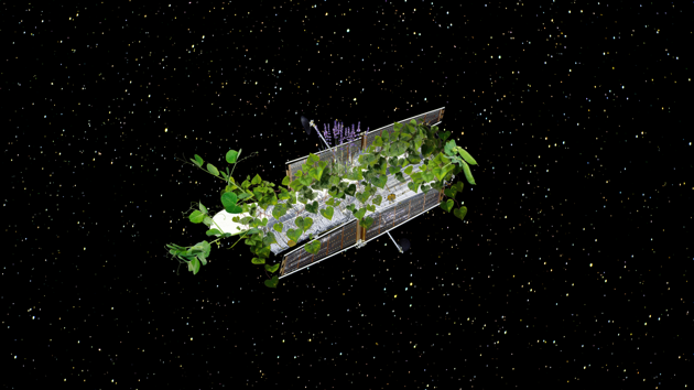 Sustainable and resource efficient food production for the astronauts of tomorrow