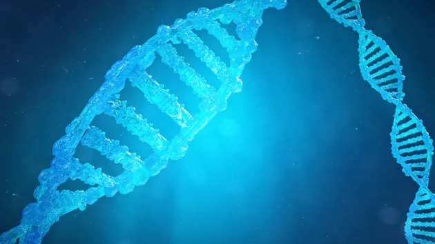 CRISPR-tekniken illustrerad som DNA-spiral med muterade gener som korrigerats med genteknik.