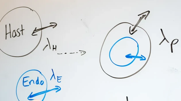 Whiteboard graphics