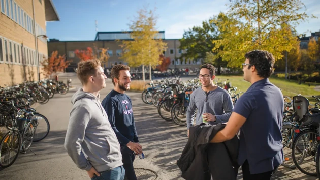 Några personer står och pratar utomhus på campus. Höstfärger i bakgrunden.