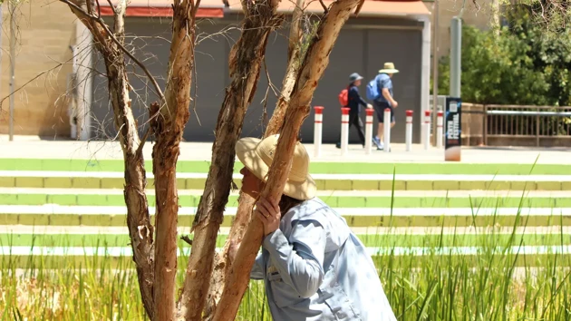 Exploring how different species use smell to interact and communicate through art, design, and biology.