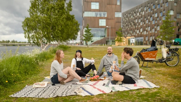 Fyra studenter har picknick i Öbackaparken vid Umeåälven