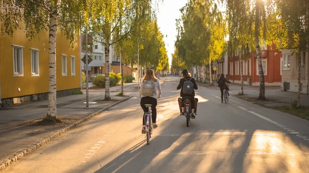 Two cyklists travelling on a sunny Umeå street.