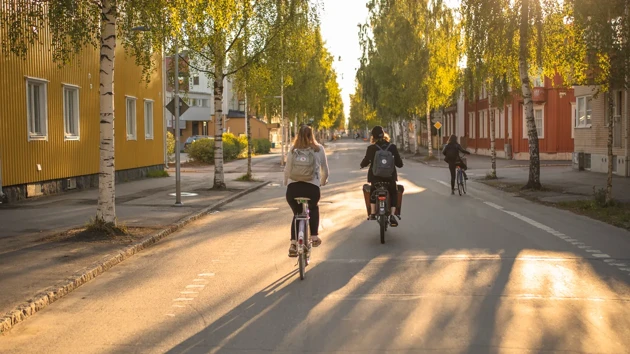 Två cyklister på en solig gata i Umeå.