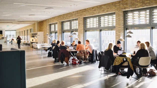 Studenter sitter vid runda bord i en öppen yta med soliga fönster i bakgrunden.