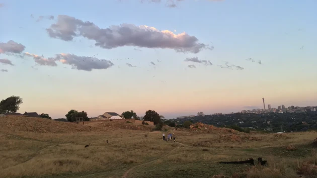 Landsbygd i Sydafrika, blå himmel och stor åker.