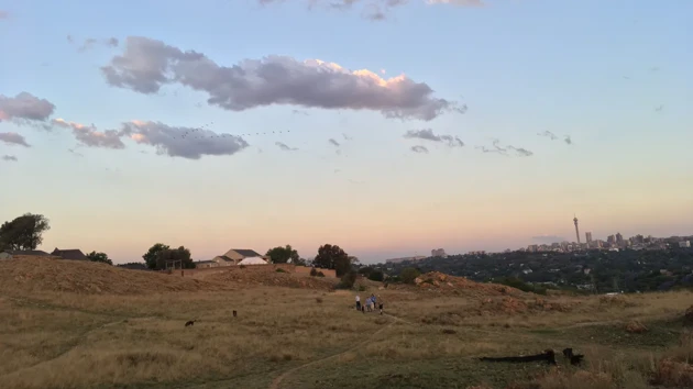 Landsbyggd i Sydafrika, blå himmel och stor åker